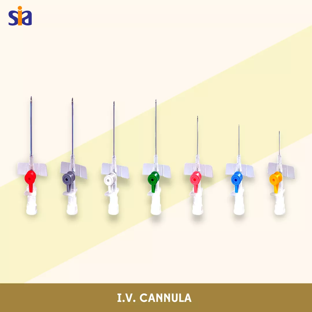 I_V_ Cannula